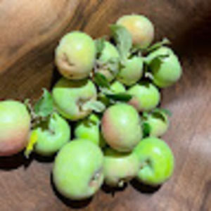 Meet your Posher, Cari M